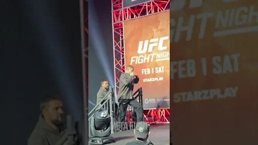 ТИТАТЫ ЛИЦОМ К ЛИЦУ / СТЕРДАУН Павловича и Розенстрайка перед UFC Fight Night 250