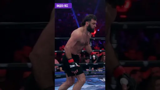 ВЫРУБИЛ ОДНИМ УДАРОМ | Вагабов нокаутировал Смирнова в рамках турнира RCC Fair Fight 29