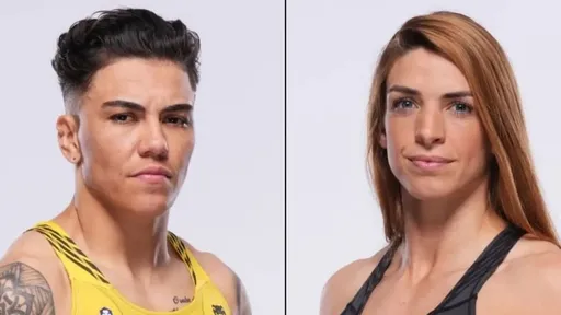 Поединок Андраде – Дерн пополнит кард UFC 295 в Нью-Йорке