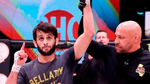 Шесть россиян в финалах турнира PFL и чемпионат России по кикбоксингу: что смотреть на неделе