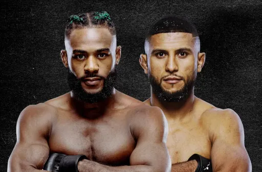 Полный кард турнира UFC Fight Night 274: Стерлинг – Залал
