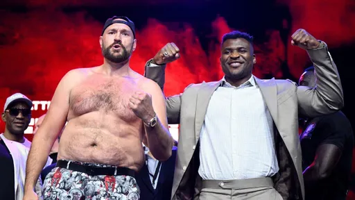 Экс-боец UFC Харди уверен, что Нганну хватит одного удара, чтобы изменить ход боя с Фьюри