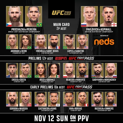 Результаты турнира UFC 295: Аспиналл вырубил Павловича, Перейра нокаутировал Прохазку