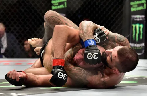 Бой Рината Фахретдинова и Элизеу дос Сантоса на UFC Fight Night 231 завершился вничью
