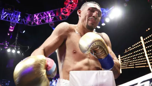 Чемпион WBO Теофимо Лопес: единственный способ заставить меня вернуться на ринг – это контракт с девятизначной суммой
