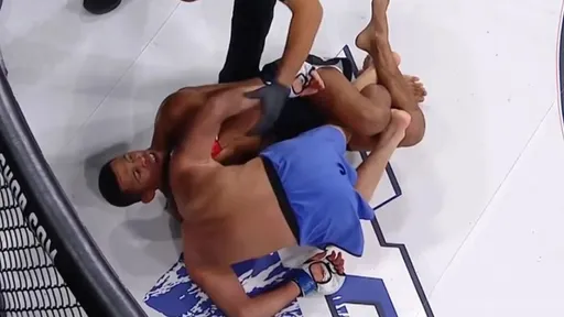 Магомед Магомедов проиграл Миксу удушающим приемом в полуфинале Гран-при Bellator