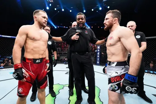 В сети появилась статистика реванша Двалишвили и Яна на турнире UFC 323