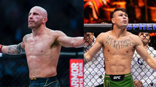 Появился официальный постер турнира UFC 314
