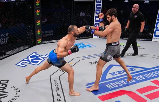 Умалатов нокаутировал Аль-Силави на PFL 6