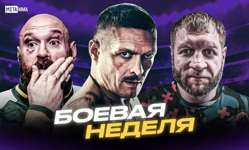 Cтранный камбэк Емельяненко, кровавый турнир Top Dog 33 и уверенный реванш Усика