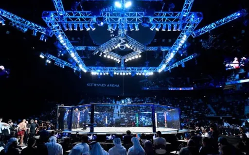 Багаутинов: самым ярким событием года получился турнир UFC 294 в Абу-Даби
