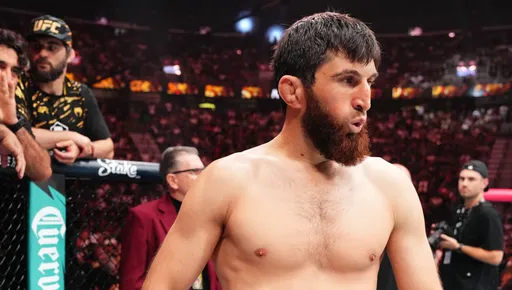 Кормье: Анкалаев может стать следующим претендентом на титул UFC