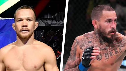 Томпсон высоко оценил возможный бой Яна и Веры в UFC