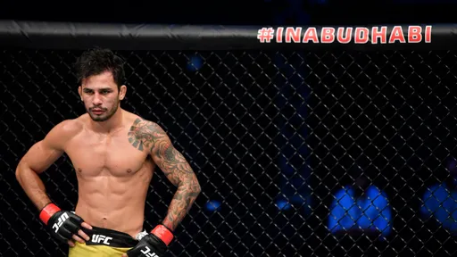 Титульный бой Пантожи и Ройвала состоится 17 декабря на турнире UFC 296
