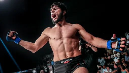 Мусаев может дебютировать в UFC на турнире лиги в Баку