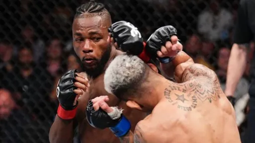 Капе извинился за гомофобное высказывание на турнире UFC 293