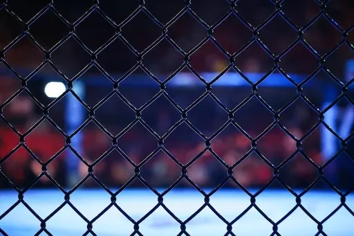 Экс-боец MMA голыми руками обезвредил преступника, напавшего на него с ножом