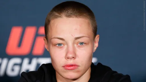 Намаюнас надеется получить бой за титул UFC в случае победы над Маверик
