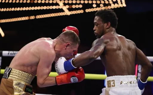 Появилось видео нокаута в поединке Дэвиса и Беринчика за титул WBO