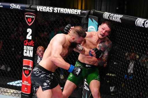 Статистика ударов в реванше между Долидзе и Веттори на UFC Vegas 104