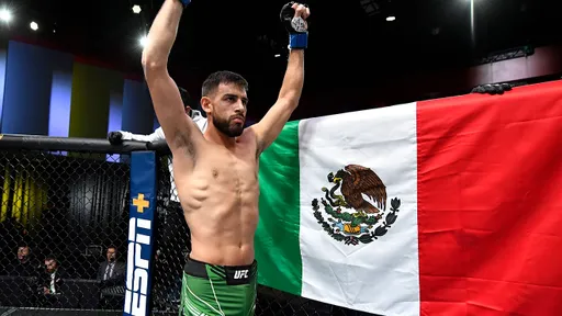 Родригес и Эмметт 12 февраля на UFC 284 проведут бой за временный титул в полулегком весе