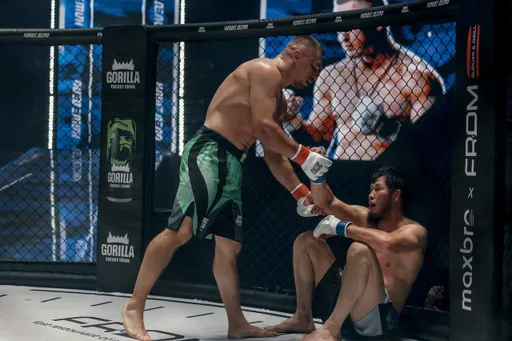 Апелляционная комиссия Союза MMA России признала остановку боя Арышев – Ермеков легитимной