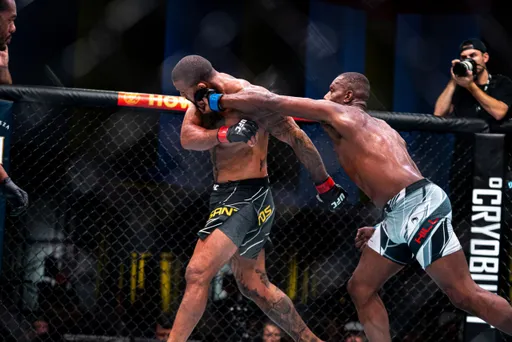 Стали известны обладатели бонусов по итогам UFC Vegas 59