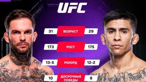 Гарбрандт проведет поединок против Баутисты на турнире UFC в августе