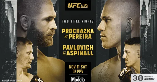 Титульная битва Павловича в UFC, поединок Минеева и Штыркова и финалы в PFL: лучшие бои ноября