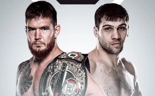 Во сколько бой Токов – Эблин: время старта 4 февраля на турнире Bellator 290
