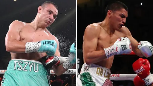 Бой Тима Цзю и Верджила Ортиса пройдет за временный титул WBA