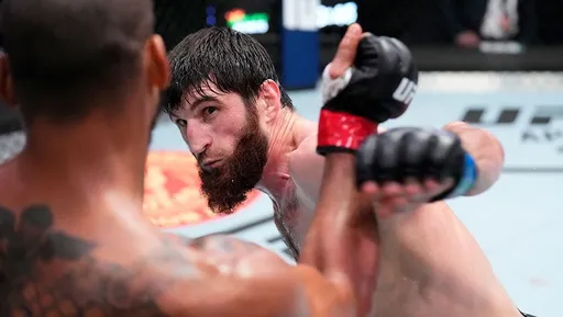 Куцелаба считает, что Анкалаев может стать следующим чемпионом UFC в полутяжелом весе