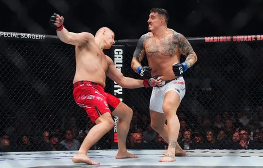 Временный чемпион UFC Аспиналл ответил критикам Павловича