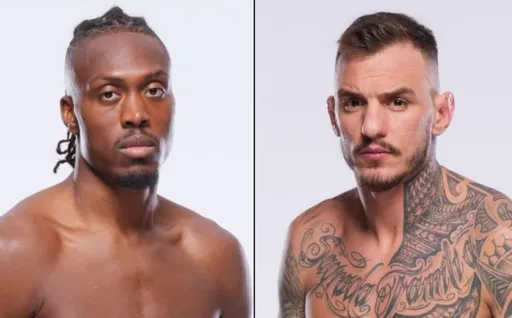 Бой Мойкано и Тернера добавлен в кард турнира UFC 300