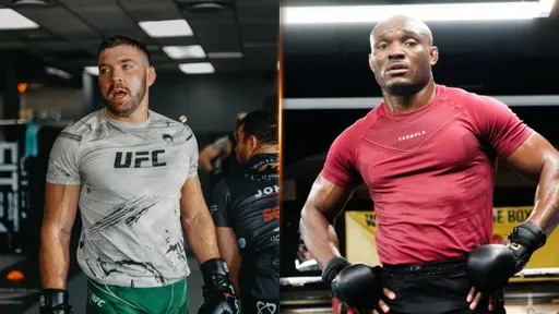 Появился постер турнира UFC Fight Night 281 с главным боем Дю Плесси – Усман