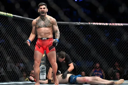 Грузинский боец UFC Топурия осадил фаната ударом в печень