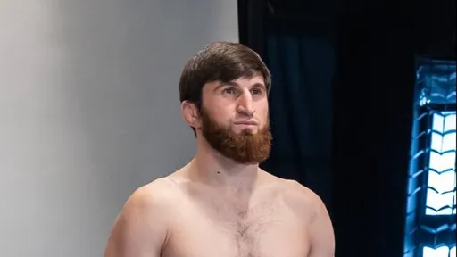 Актуальная форма Анкалаева и Перейры перед UFC 313