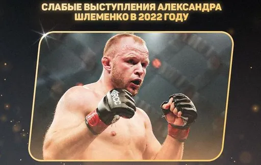 Слабые выступления Александра Шлеменко были признаны «Разочарованием года» по версии Мета ММА