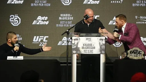 В сети опубликованы детали контракта Хабиба с UFC: за бой с Макгрегором он получил два миллиона долларов