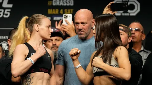 Второй бой Шевченко и Грассо стал шестым в истории UFC титульным поединком, завершившимся ничьей