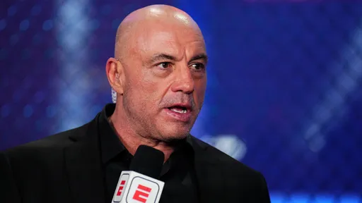 Роган: я всегда говорил Уайту, что UFC нужно заняться кикбоксингом, а не пощечинами