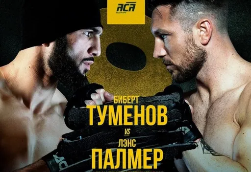 Альберт Туменов: Биберт должен уверенно пройти Палмера