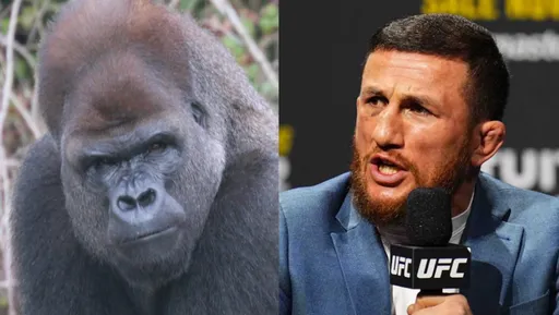 Чемпион UFC Двалишвили: легко справлюсь с одной гориллой