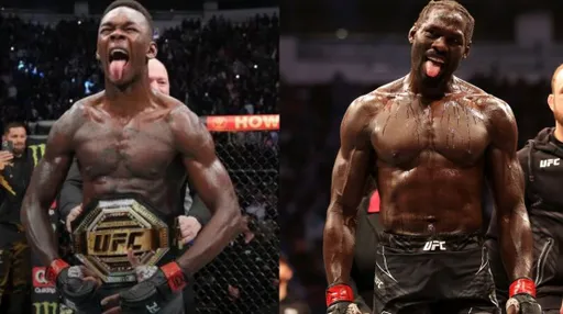 Опубликован официальный постер турнира UFC 276: Адесанья – Каннонье