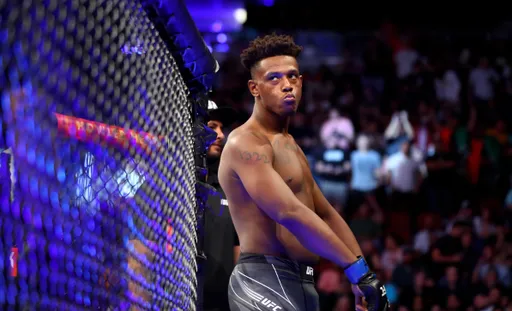 Экс-чемпион UFC обвиняется в домашнем насилии: побил старшего брата и может получить реальный срок