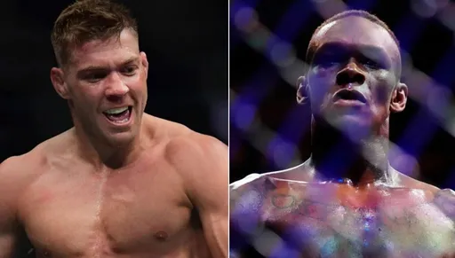 Дю Плесси обратился с предостережением к чемпиону UFC Адесанье