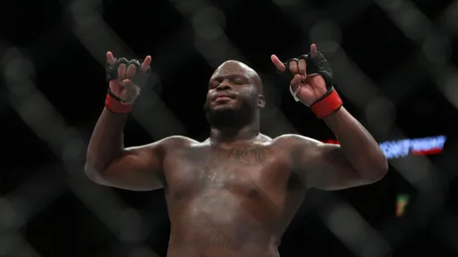 Льюис хотел бы подраться с россиянином на турнире UFC в Белом доме