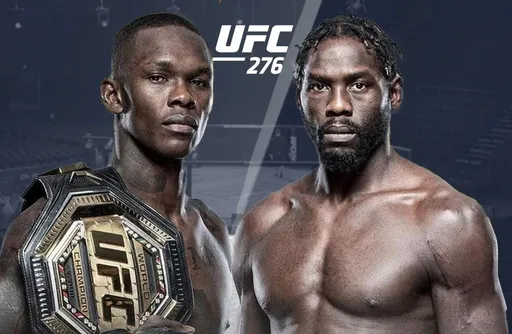 Рэпер Дрейк поставил миллион долларов на победу Адесаньи на UFC 276