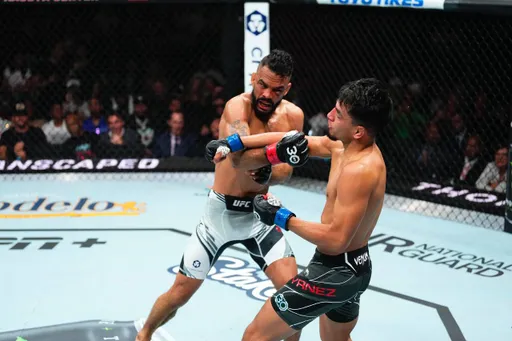 Фонт победил Янеса техническим нокаутом на турнире UFC 287