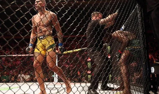 Рефери UFC Годдард объяснил остановку боя между Адесаньей и Перейрой